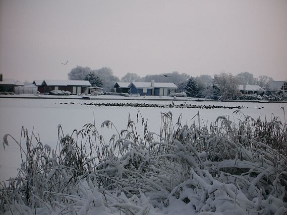 See im Winter (Foto:  U. Scholl, 12/2010)